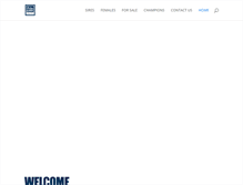 Tablet Screenshot of finaldrivegenetics.com